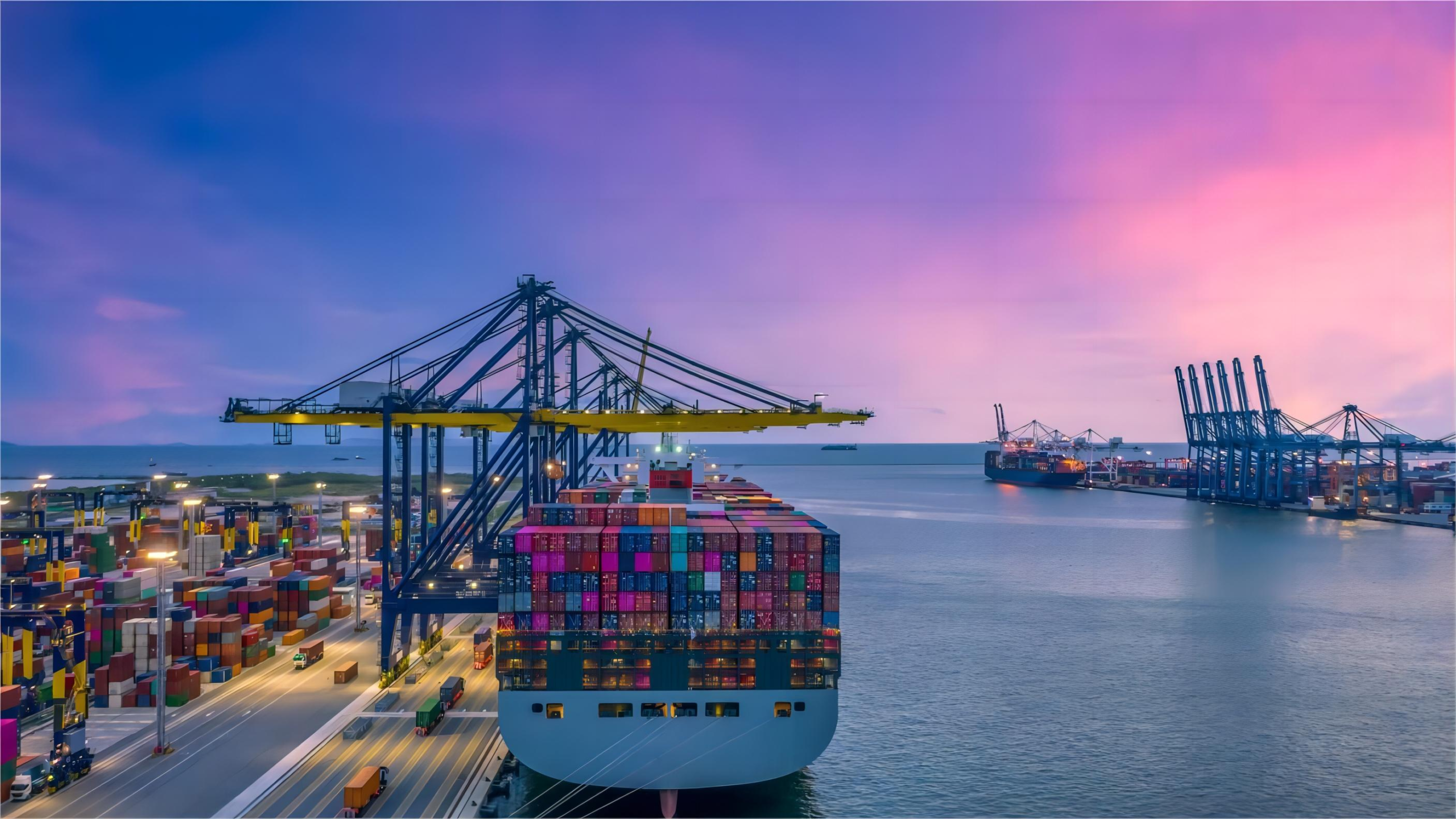 Logistics professional managing cargo documentation